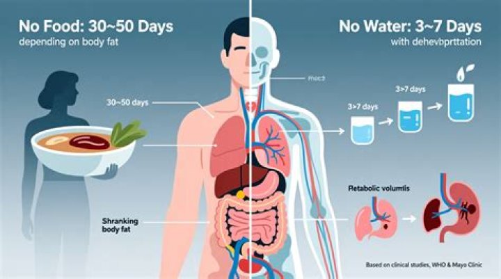 Can a human live without meat?