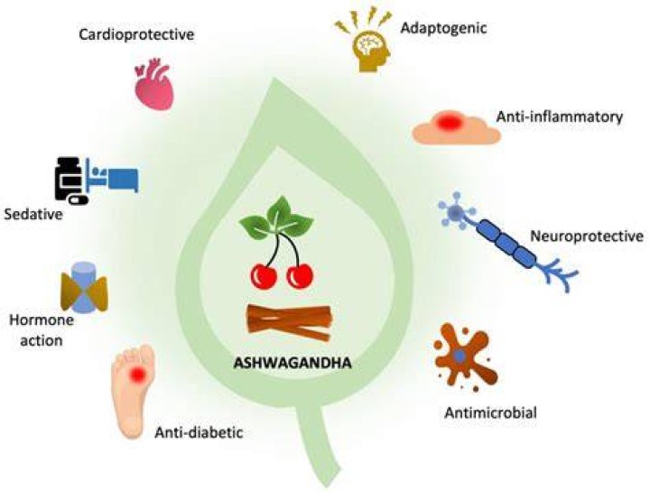 Can ashwagandha affect breathing?