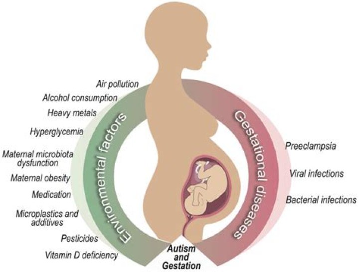 Can autism be detected during pregnancy?