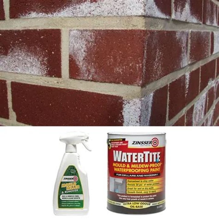 Can you paint over efflorescence on brick?
