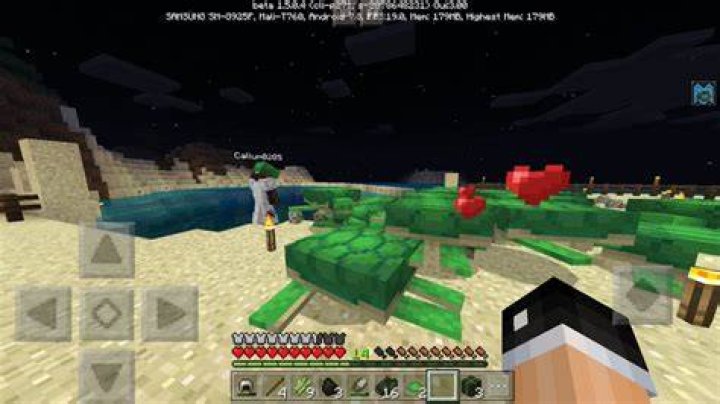 Do baby turtles Despawn in Minecraft?