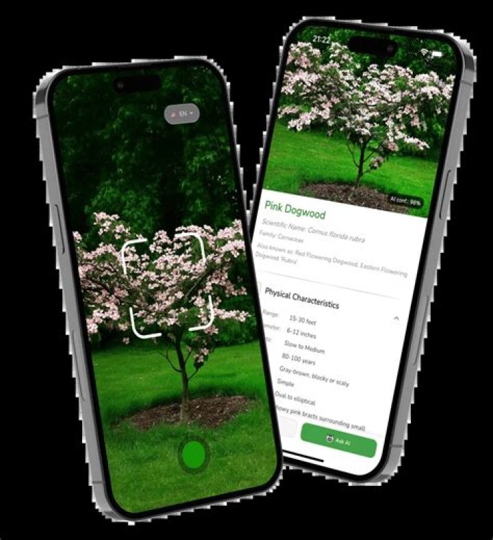 Does Picture this app identify trees?