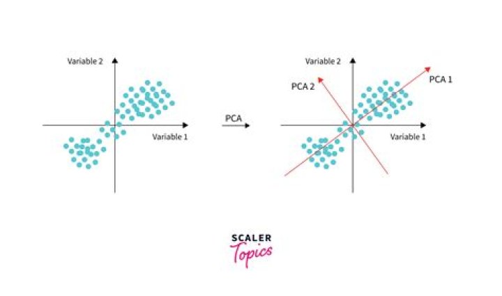 Is PCA a cluster?