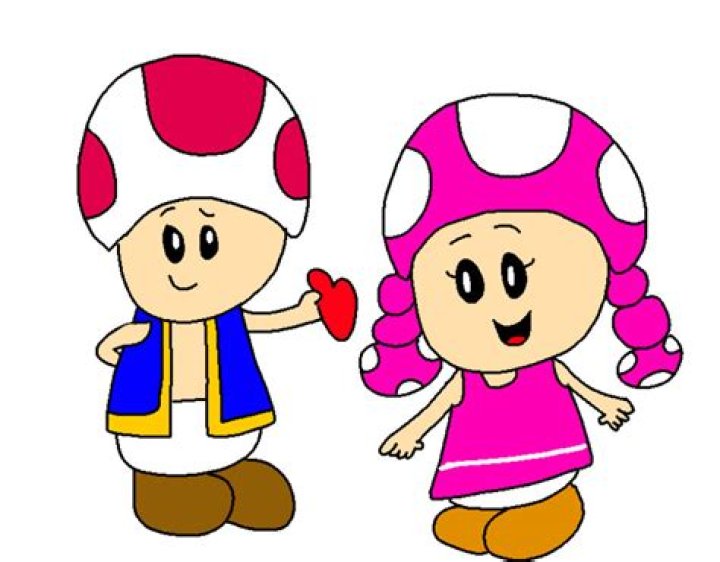 Is Toadette Toad's girlfriend?