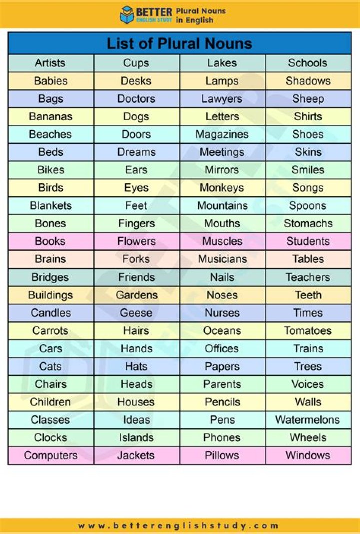 What are plural nouns examples?