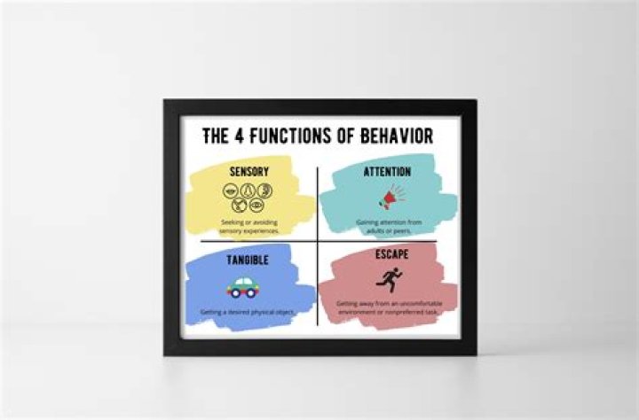 What are the 4 main functions of behavior?