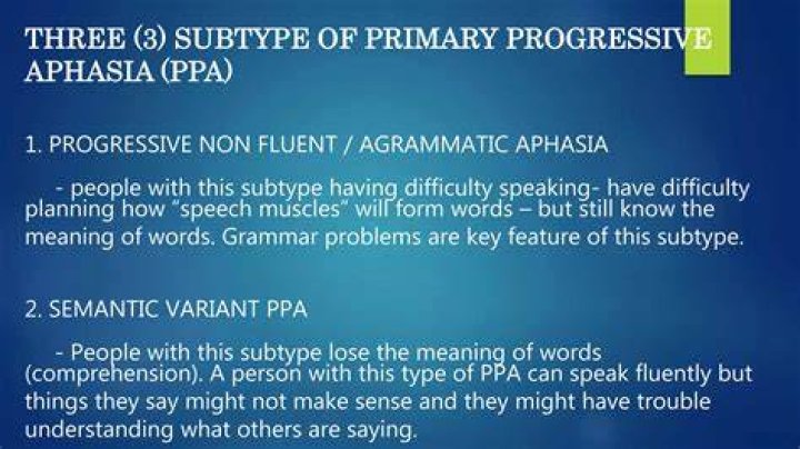 What are the three types of aphasia?