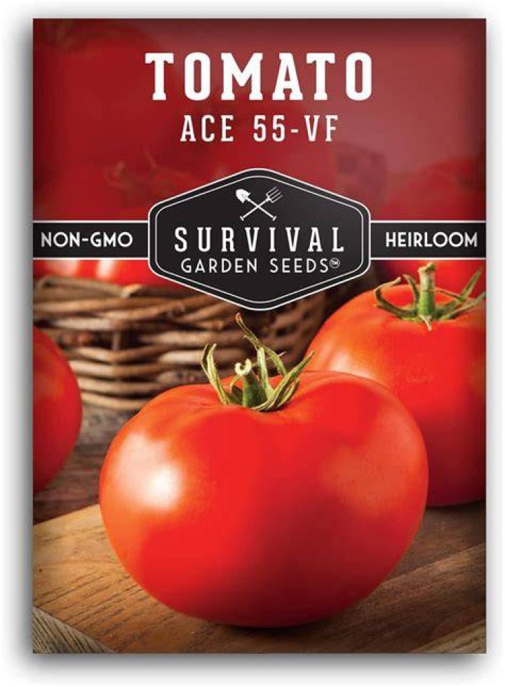 What is the most disease resistant heirloom tomato?