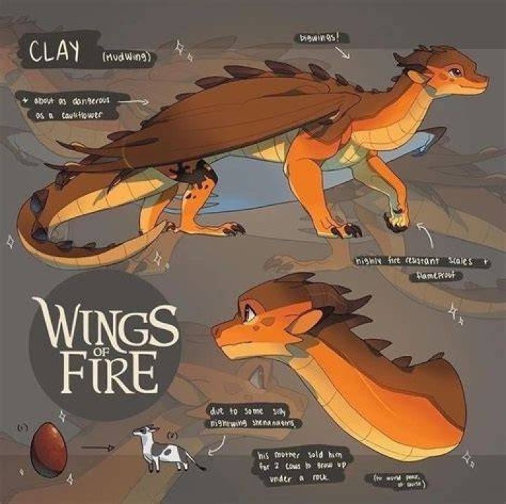 Who does clay like in Wings of Fire?