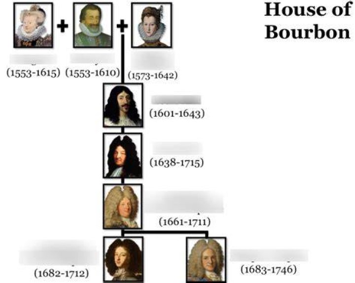 Who ruled France before the Bourbons?
