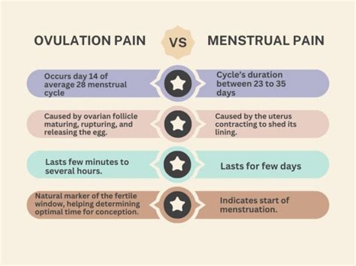 Why do ovaries hurt during period?