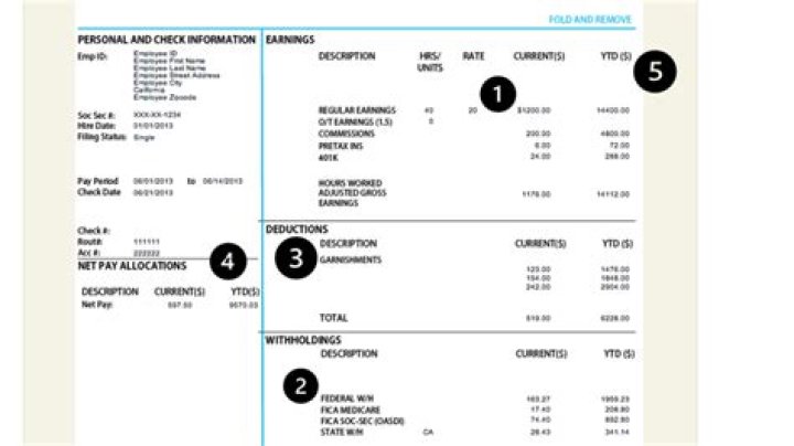 Why does a regular paycheck helps your credit score?