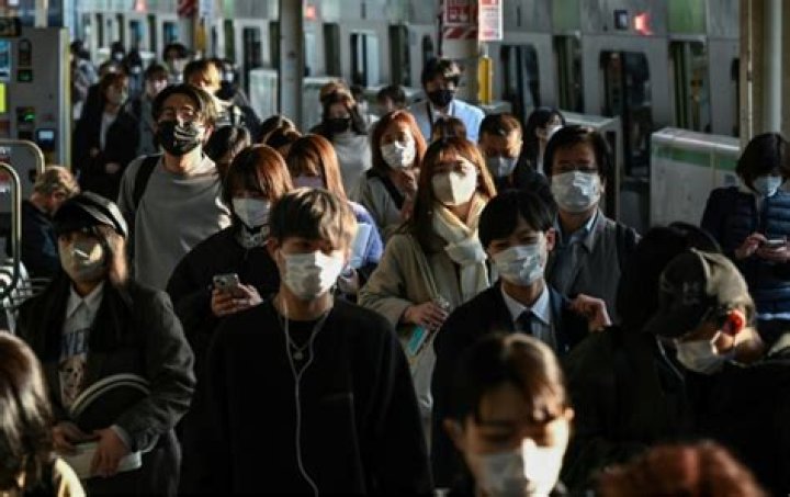 Why is there loneliness in Japan?